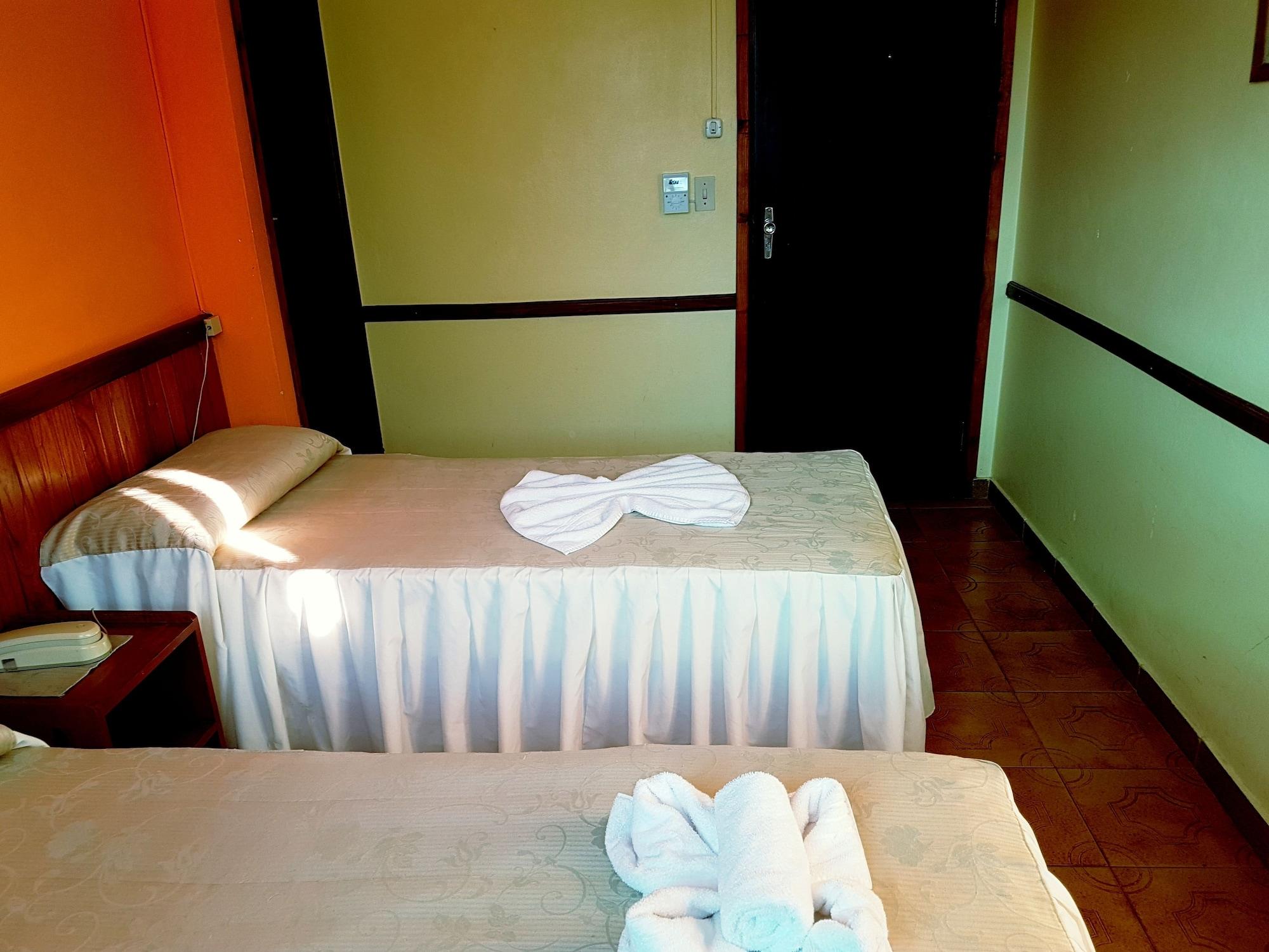 Helechos Puerto Iguazu